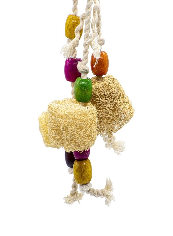PETZOO Creative Chewable Mesh Hanging Toy for Birds, Macaw, African Grey, Parrot, Alexandrine, Budgies, Hamster Cage Accessories, Resting Toy & Wooden Training Aid for Bird & Parrots - Image 2